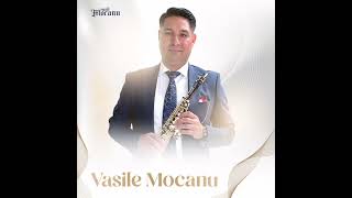 VASILE MOCANU 2023 [upl. by Aubert]