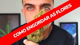 4 dicas para engordar as flores [upl. by Nomyt]