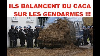 Des agriculteurs balancent du caca sur les gendarmes 💩💩 [upl. by Esyahc48]