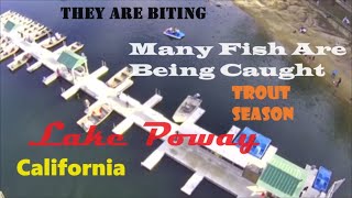 Poway Lake Fish Stock Lots of Fish Being Caught lakefishing powerbait troutfishing drone bait [upl. by Irisa]