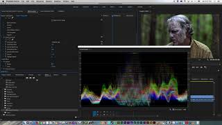 How to Use the Cineon Converter in Adobe Premiere [upl. by Oca]