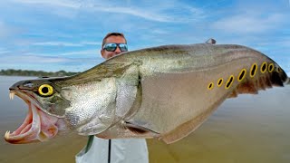 INVASIVE Fish are Taking OverCatch Clean Cook Clown Knife Fish amp Snakehead [upl. by Shellie]