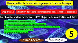 La phosphorylation oxydative 3ème étape de la respiration cellulaire partie 51 شرح بالداريجة [upl. by Dremann139]