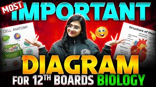 CLASS 12 BIOLOGY  Most Important Diagrams 💯 Class 12th Boards 🔥 [upl. by Rives928]