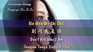 Bie Wen Wo Shi Shei  别问我是谁  Lin Zi Lu  林子路  Dont Ask Who I Am Jangan Tanya Siapa Diriku [upl. by Niotna]