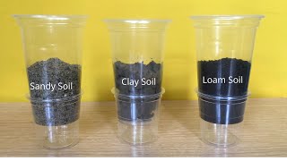 Types of Soil  Water Flow and Absorption Test  Sand Loam and Clay Soil [upl. by Selle]