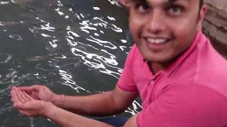 Tulsishyam  Garam Pani Kund Hot Water Springs  Anti Gravity Hill at Tuslsi Shaym  Gujarat [upl. by Leksehc]