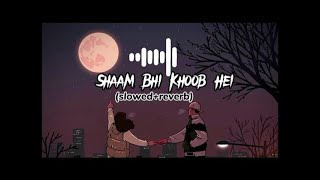 Shaam Bhi Khoob Hai  Slowed amp Reverb  Alka Yagnik  Kumar Sanu  Udit Narayan [upl. by Brine872]