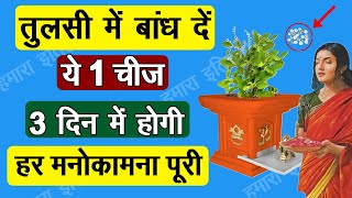 तुलसी में बांध दें ये 1 चीज घर में कभी गरीबी नहीं आएगी  tulsi kab lagana chahiye  vastu tips [upl. by Akcimat]