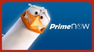 Cigognes amp Compagnie  Amazon Prime Now [upl. by Godfry]