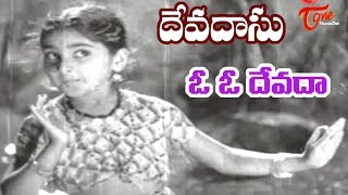 ANR Old Songs  Devadasu Movie  O Devada Song  ANR  Savitri  OldSongsTelugu [upl. by Costello]