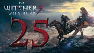 Witcher 3  25  Wanderung im Dunkeln Lets Play ger blind [upl. by Nealson47]