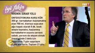 İdrar Yolu Enfeksiyonu İbrahim Saraçoğlu Karnabahar Kürü [upl. by Ezarra]