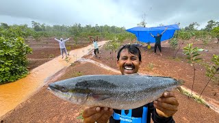 আজ এক নতুন ধরণের মাছ খেলাম  sea fish recipe  Village Cooking Vlog [upl. by Altheta]