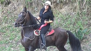 Cabalgata en Caicedonia Fiestas Aniversarias 108 Años [upl. by Shara]