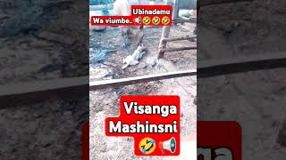 Visanga mashinani📢🤣🤣🤣🤣 [upl. by Fabrice]