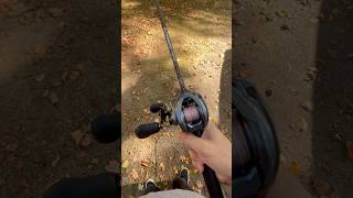 Shimano Curado DC sound shimanocuradodc curadodc fishinggear [upl. by Einnij]