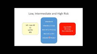 Neuroblastoma Risk Stratification and Treatment OverviewDr Nehal Khanna [upl. by Clarance]