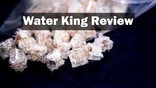 Everglide WaterAqua King V3 Review  A Unique Linear Experience [upl. by Jb]