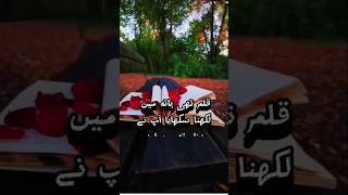 Best urdu quote for teachers short YouTube short teachers respect quote [upl. by Laamak]