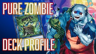 YUGIOH PURE Zombie Deck Profile Update OCT 2024 [upl. by Eylatan]