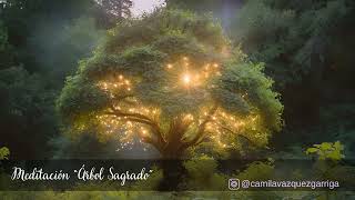 Meditación del quotÁrbol Sagradoquot [upl. by Messing]