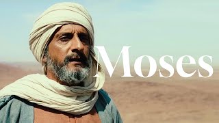 Moses and the story of Exodus [upl. by Bohlin]