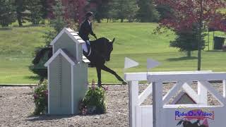 190S Michelle Graves on Olive SR Novice Show Jumping Rebecca Farm July 2020 [upl. by Anitnahs229]