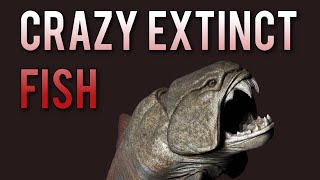 CRAZY EXTINCT FISH  Placoderms [upl. by Annairba]