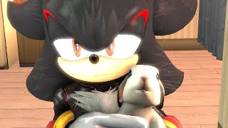 Shadow The Hedgehog the sweetest scene [upl. by Auohs]