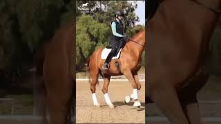 Three Steps to Canter Pirouettes [upl. by Vargas]