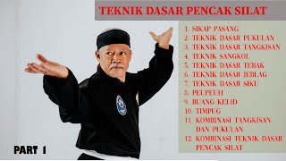 How to learn pencak silat  Basic Silat Techniques PART 1 pencak silat [upl. by Carlynne]