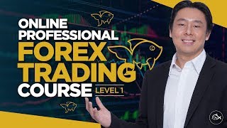 Introducing the Online Professional Forex Trading Course by Adam Khoo [upl. by Brookhouse]