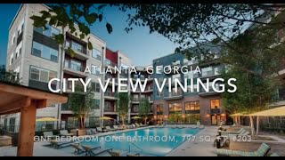 City View Vinings Atlanta GA 1Bedroom [upl. by Annua437]