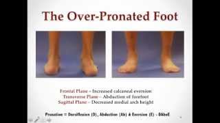 More Effective Calf Stretching Considerations for the OverPronated Foot with Dr Emily Splichal [upl. by Cott107]