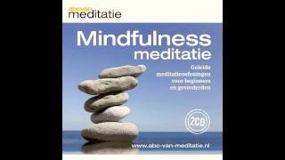 Bodyscan Meditatie 15 minuten Mark Teijgeler [upl. by Asteria980]