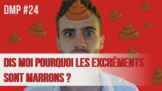 Dismoi pourquoi les excréments sont marrons  DMP 24 [upl. by Lexerd]