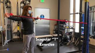 Scapular Exercises with Theraband As Ws Ts Ys Is [upl. by Ahsieat]