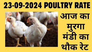 आज का थोक पौल्ट्री रेट  today poultry rateaaj ka murga mandi ka bhav in hindi Today broiler rate [upl. by Airotnahs]