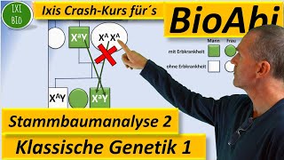 Klassische Genetik 2 Stammbaumanalyse 2  Genotypen begründen bei Xchromosomal rezessiven Erbgängen [upl. by Riesman]