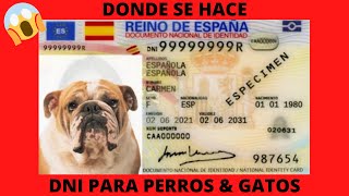 🔴DONDE se hace DNI PERROS amp GATOS🔴 [upl. by Arrak308]