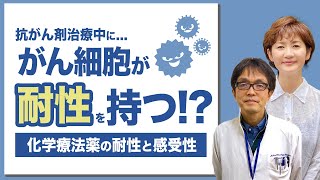 【抗がん剤治療】抗がん剤の耐性と感受性のことをあなたは知っていますか？ [upl. by Irby507]