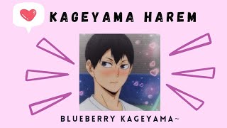 Crush lyric prank •• Kageyama Harem •• Blueberry Kageyama [upl. by Anaimad]