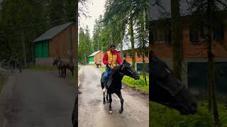 Лошади FNF Horses racing  ცხენზე ჯირითი LifeHack [upl. by Chrisoula]