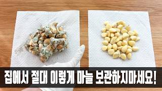 잘 썩는 마늘 이것 위에 올려 두면 2달도 싱싱하다구요 마트 사장님이 비법을 알려주셔서 감사하네요 [upl. by Busby]