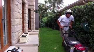 Lawn Mowing Northern Beaches Sydney Pittwater Mowing  How to mow the lawn [upl. by Nicolas]