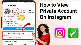 How to View Private Account on Instagram 2024  View Private Account on Instagram [upl. by Keraj]