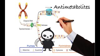 Pharmacology  CANCER DRUGS  ANTIMETABOLITES MADE EASY [upl. by Kristan496]