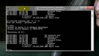 Easy Delete Autoruninf  ntde1ectcom Viruses [upl. by Arbmat]