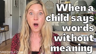 When A Child Says a Word Without Knowing the Meaning Help Teaching Words in Context Speech Therapy [upl. by Suinuj]